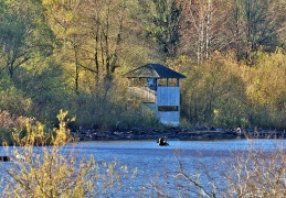 Beobachtungsturm Hirschauer Bucht