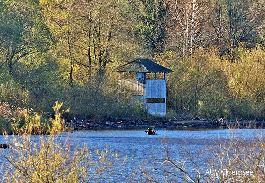 Beobachtungsturm Hirschauer Bucht