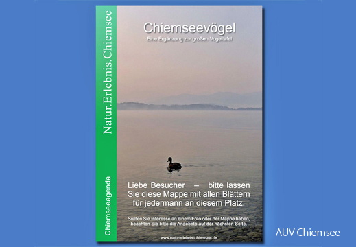 Ringordner Chiemseevögel