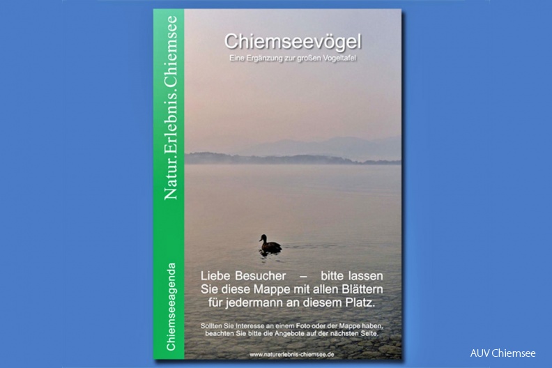 <b>Chiemseevögel</b><br />
Eine Ergänzung zur großen Vogeltafel<br />
Texte und Zusammenstellung:<br />
Dr. Michael Lohmann, Übersee<br />
Haben Sie Interesse an dieser Mappe?<br />
Die Mappe steht als PDF-Datei auf der Webseite
www.chiemseeagenda.de im Ordner “Infomaterial“ unter
“Ringordner Chiemseevögel“ zur Verfügung. Ringordner_Chiemseev__gel-Einschubtitel_Innenseite-6i-1-1140pix.jpg