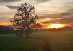 Sonnenuntergang bei Gaishacken