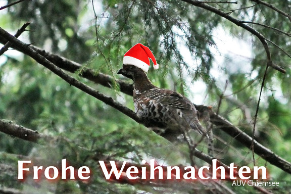 Haselhuhn - xmas2019