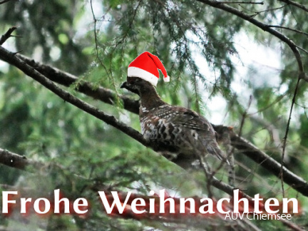 Haselhuhn - xmas2019