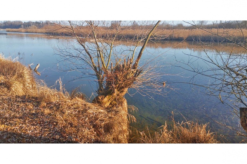 An der Prienmündung
Mit einem Klick! zur Fotogeschichte mit weiteren Bildern
An der Prien-Mündung / 1. Januar 2020 / Foto: Hans Fritz
AktNatBeo-200101-fh-an_der_Prienmuendung-IMG_20200101_130508-1140pix.jpg