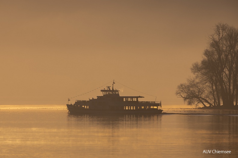 Chiemsee Schifffahrt bei Morgengrauen
Mit einem Klick! zur Fotogeschichte mit weiteren Bildern
Naturbeobachtungsturm Ganszipfel / 17. Januar 2020 / Foto: Thomas Alberer
AktNatBeo-200117-ta-05_Turm-Ganszipfel_200117.jpg