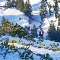 Skifahrer im Latschenfeld