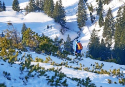 Skifahrer im Latschenfeld
