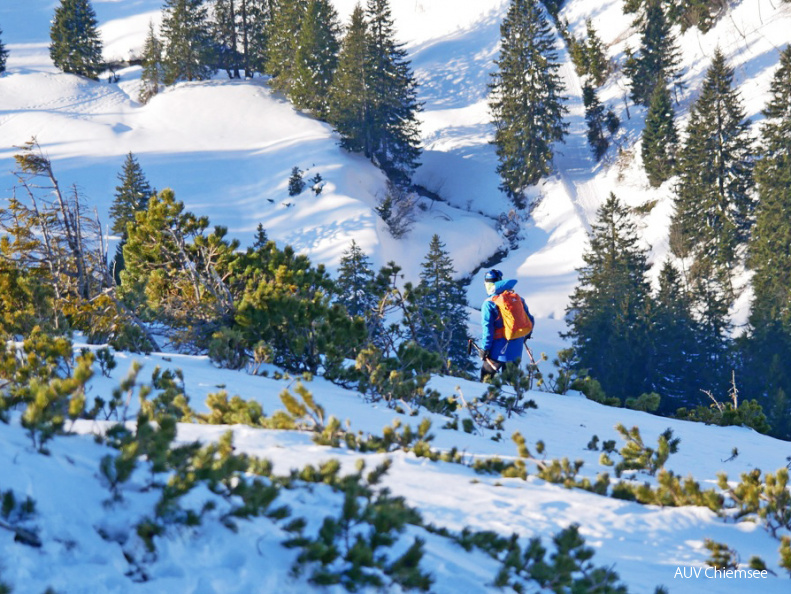 Skifahrer im Latschenfeld