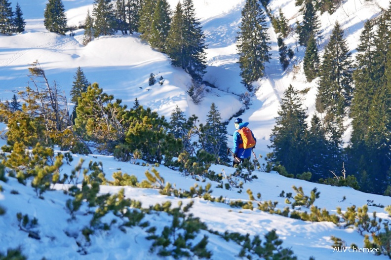 AktNatBeo-200123-ja-5_Skifahrer_Latschenfeld-bearb.jpg