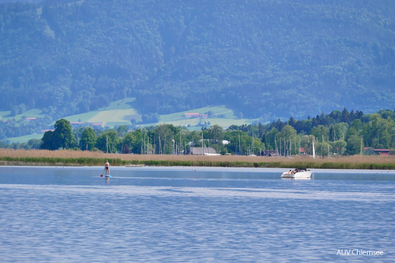 Verstoss in der Ruhezone!
Wie so oft sind Leute innerhalb der Uferschutzzone. Das Boot ist direkt an der Boje vertaut und der Stand Up Paddler dringt weit in die Ruhezone entlang der Insel Sassau ein. Da bleibt der Natur mal wieder nur wenig Platz in den Naturschutzgebieten.
Mit einem Klick! zur Fotogeschichte mit weiteren Bildern
Schafwaschener Bucht / 19. Mai 2020 / Foto: Johannes Almer
AktNatBeo-200519-ja-5_Verstoss_Ruhezone-1140pix.jpg