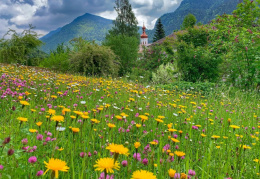 Bergsteigerdorf Sachrang