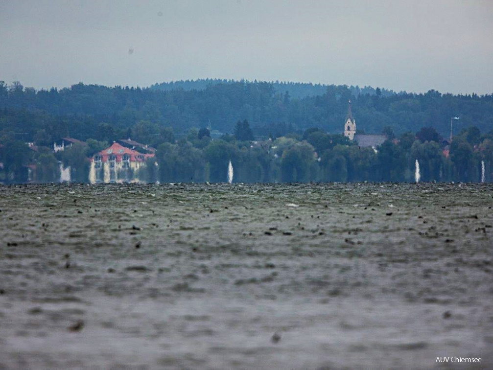 Luftspiegelung vor Seebruck