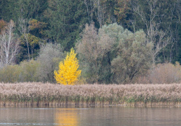 Herbstfarben