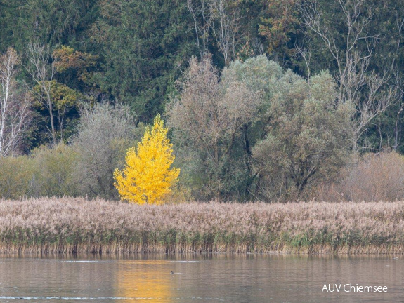 Herbstfarben