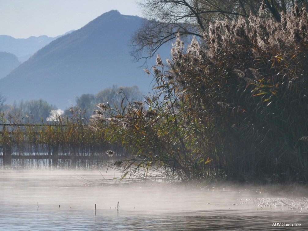 Vormittagssonne am See