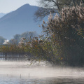 Vormittagssonne am See