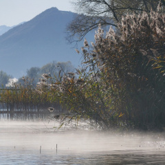 Vormittagssonne am See