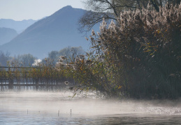 Vormittagssonne am See