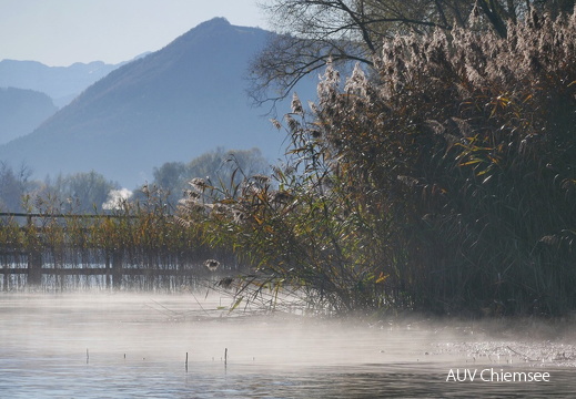 Vormittagssonne am See