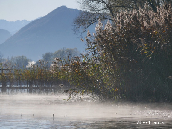 Vormittagssonne am See