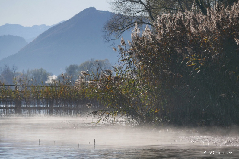 Die Vormittagssonne taucht den See in eine wunderbare Atmosphäre
Mit einem Klick! zur Fotogeschichte mit weiteren Bildern
Irschener Winkel; Bernau-Felden / 19. November 2020 / Foto: Johannes Almer
AktNatBeo-201119-ja-01_Vormittagssonne-am-See-1140pix.jpg