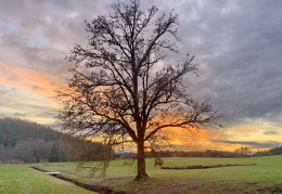 Sonnenuntergang bei Prien-Stetten