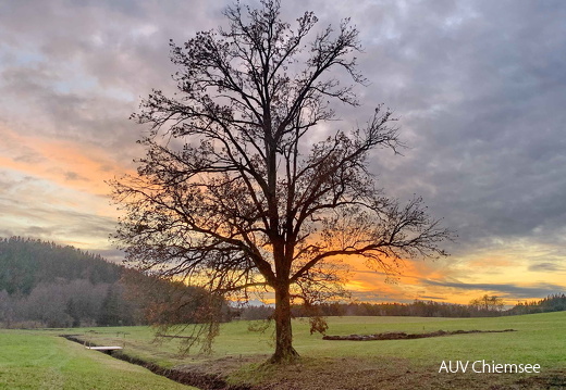 Sonnenuntergang bei Prien-Stetten