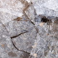 gefrorene Pfütze