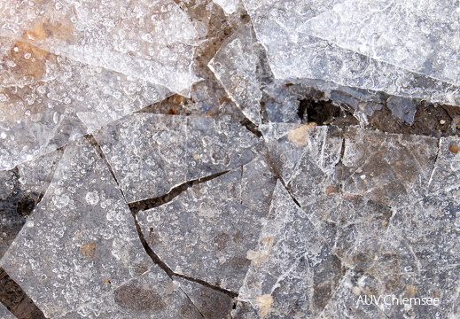 gefrorene Pfütze