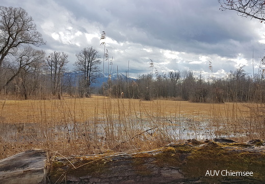 Landschaft in der Hirschauer Bucht