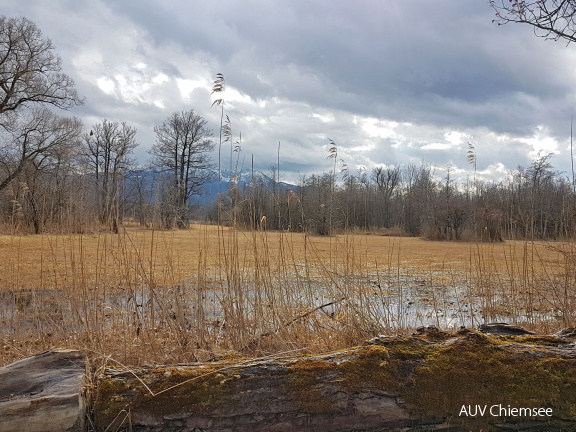 Landschaft in der Hirschauer Bucht