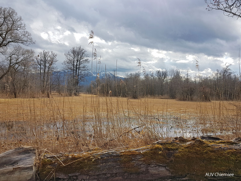 Landschaft in der Hirschauer Bucht