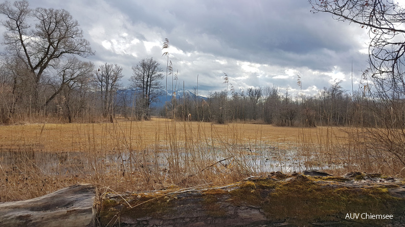 Landschaft in der Hirschauer Bucht
Mit einem Klick! zur Fotogeschichte mit weiteren Bildern
Hirschauer Bucht / 17.02.2021 / Foto: Hans Wolf
AktNatBeo-210217-hw-16_Landschaft_Hirschauer_Bucht_02.2021_20210217_132614.jpg