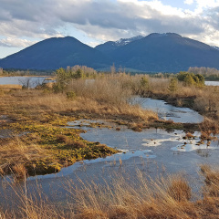 Landschaft bei der Moorstation Nicklheim