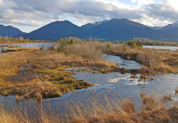 Landschaft bei der Moorstation Nicklheim