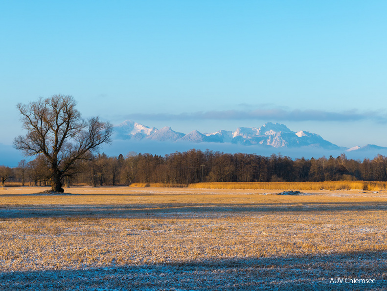 Grabenstätter Moos