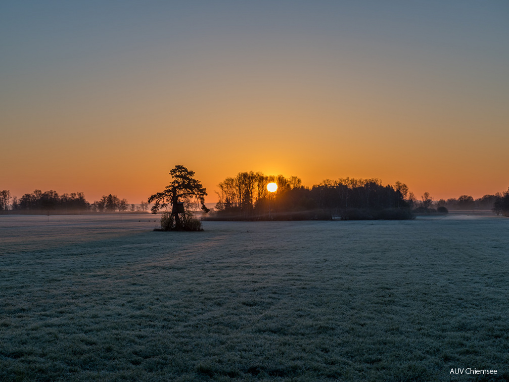 Sonnenaufgang im Trattmoos