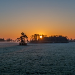 Sonnenaufgang im Trattmoos