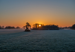 Sonnenaufgang im Trattmoos