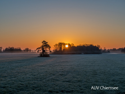 Sonnenaufgang im Trattmoos