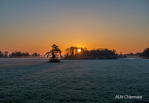 Sonnenaufgang im Trattmoos