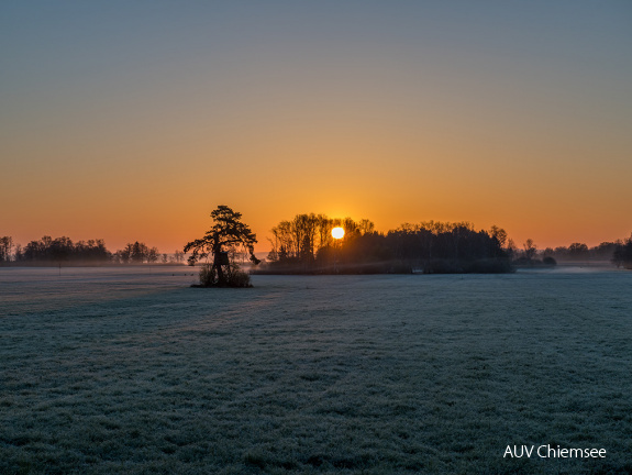 Sonnenaufgang im Trattmoos