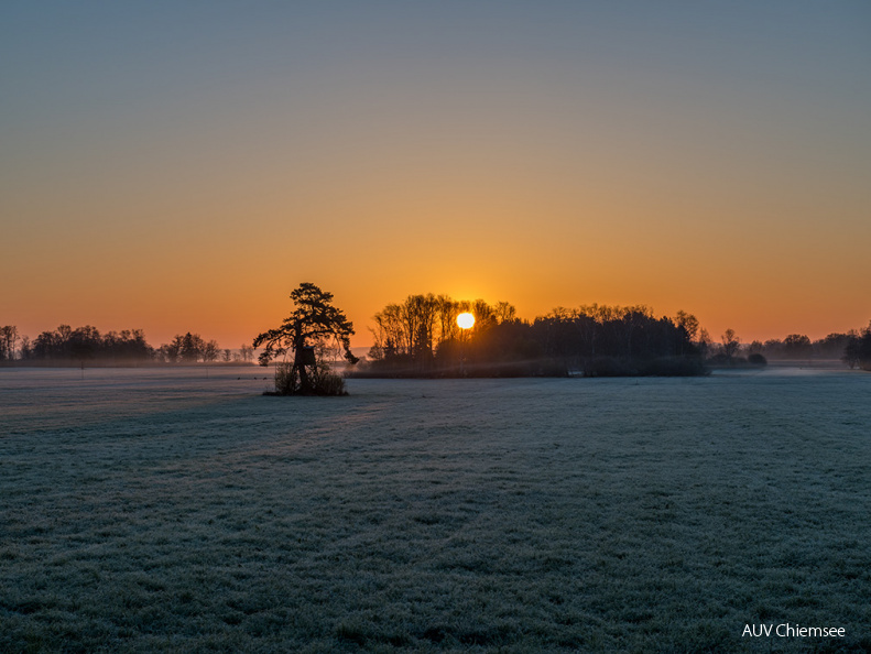 Sonnenaufgang im Trattmoos