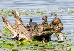 nach dem Schreck - ein Gruppenbild mit Freunden