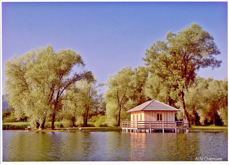Naturbeobachtungsstation "Hütte an der Prienmündung"
Die Umweltpädagogische Station kurz nach der Errichtung im Jahr 2005.
Strandanlage Rimsting an der Prienmündung / 2005 / Foto: AUV
NatBeo-PM-Huette_an_der_Prienmuendung-Rimsting-2005-AUV-1800pix.jpg