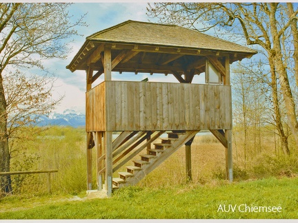 Aussichtsturm "Hagenau"