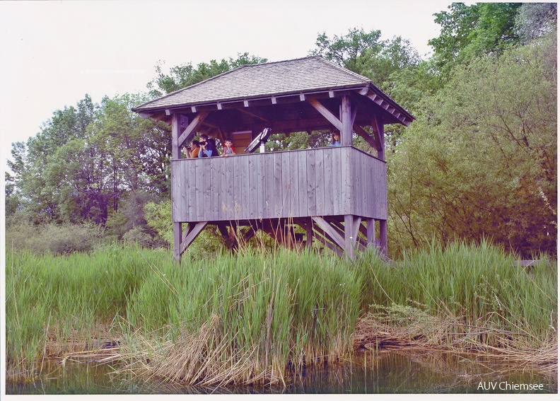 NatBeo-LG-Turm_Lachsgang-Uebersee-2005-AUV-1800pix.jpg