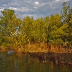 Morgenstimmung