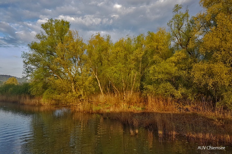 Morgenstimmung
Mit einem Klick! zur Fotogeschichte mit weiteren Bildern
Schafwaschener Bucht / 4. Mai 2022 / Foto: Johannes Almer
AktNatBeo-220504-ja-1_Morgenstimmung-1140pix.jpg