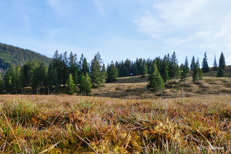 AktNatBeo-221102-ja-3_alpine_Matten_Hochmoor-1140pix.jpg